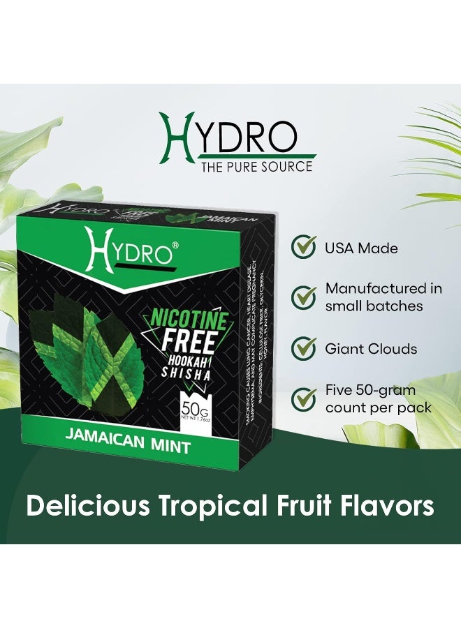 Hydro Hookah Flavors Shisha Variety Pack - 12 Nicotine Free 50g Packs Including Strawberry, Mango, Peach, Grape, Melon, Coconut, and More - Image 4
